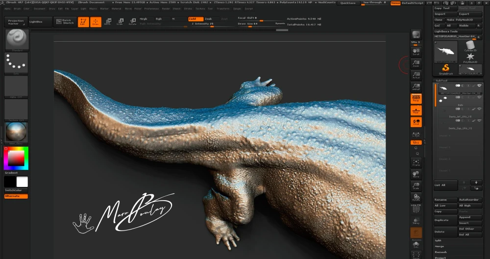 Metoposaurus reconstruction - Workflow - Marc Boulay