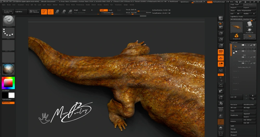 Metoposaurus reconstruction - Workflow - Marc Boulay