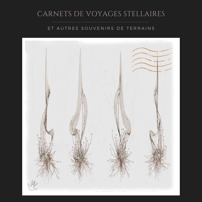 Carnets de Voyages Stellaires - Lichena sulfuluna - Sketches