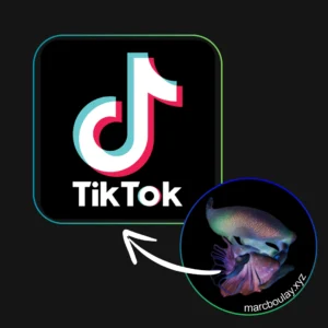 Marc Boulay sur TikTok