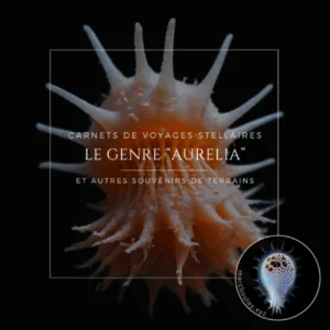 Le genre Aurelia | exobiologie | Art spéculatif