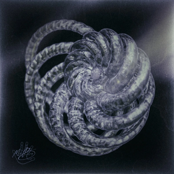 Version translucide de l’espèce n°00cp01