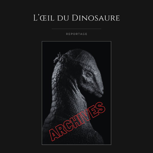 L&rsquo;œil du Dinosaure – Archives