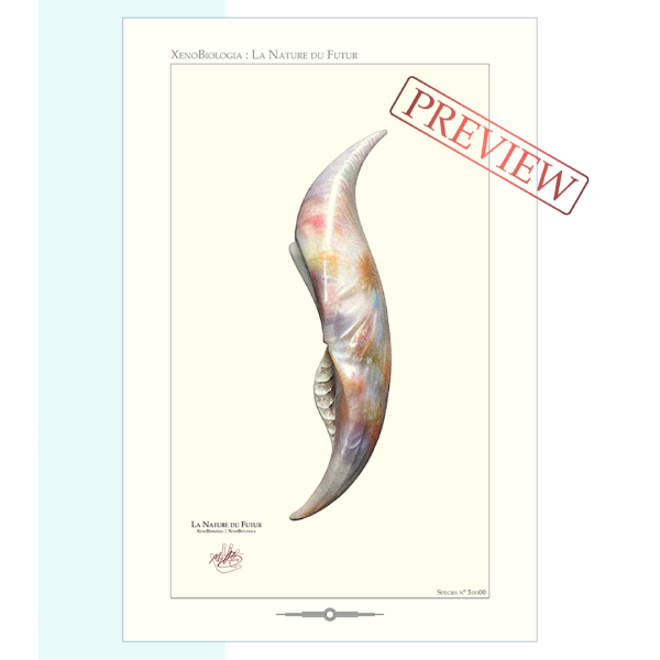 XénoBiologia, Clavovivis mirabilis