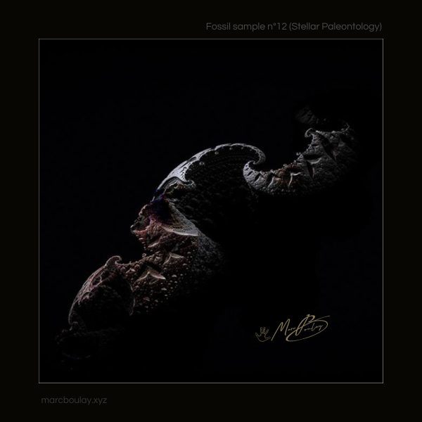 Stellar paleontology - Fossil sample n°12