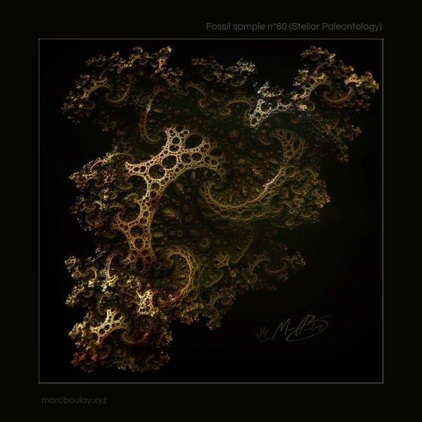 Stellar paleontology - Fossil sample n°60