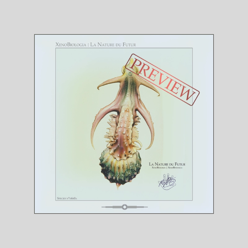 XénoBiologia, Aetheropyrion splendidus