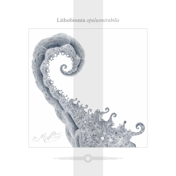 Lithobionta opalusmirabilis