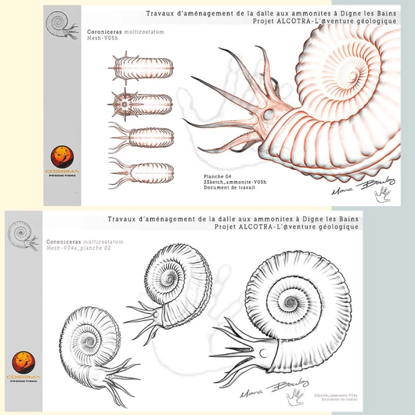 AMMONITE_ZB2__Marc Boulay
