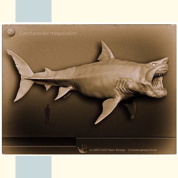 Carcharocles-megalodon_01