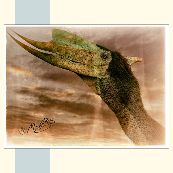 Dsungaripterus-Paloepolis_Marc Boulay