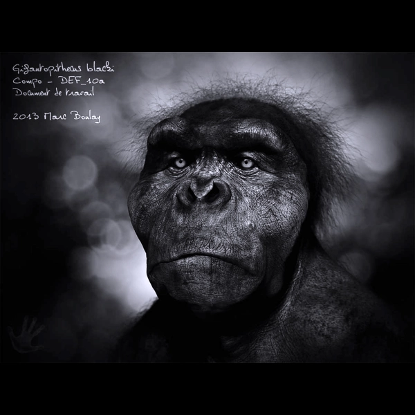 GIGANTOPITHECUS-BLACKI_PourLaScience_Marc Boulay