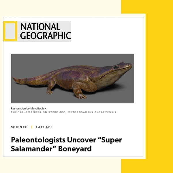 National-Geographic_Metoposaurus by Marc-Boulay
