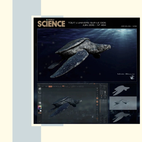 Pour La Science_Archelon_Marc Boulay