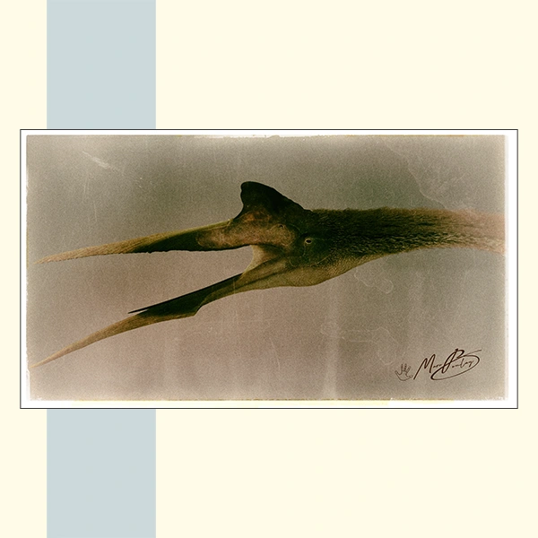 QUETZALCOATLUS - Marc Boulay