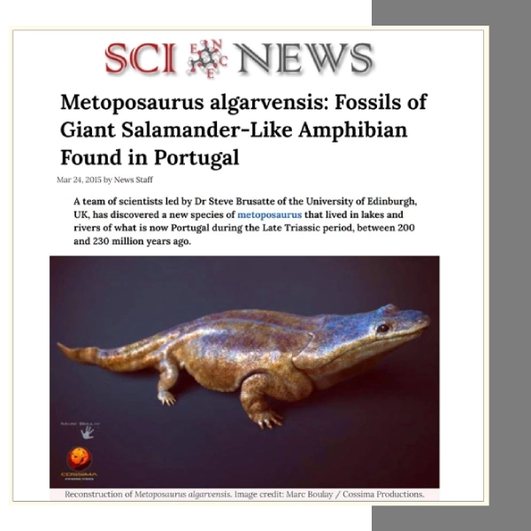 SCI-NEWS_Metoposaurus by Marc Boulay