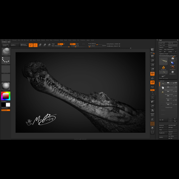 Sarcosuchus_LaFermeAuxCrocodiles_Marc Boulay