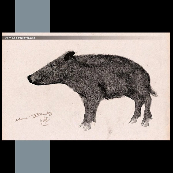 Hyotherium_Marc Boulay