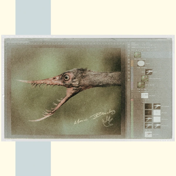 RHAMPHORHYNCUS-workflow2_Marc Boulay
