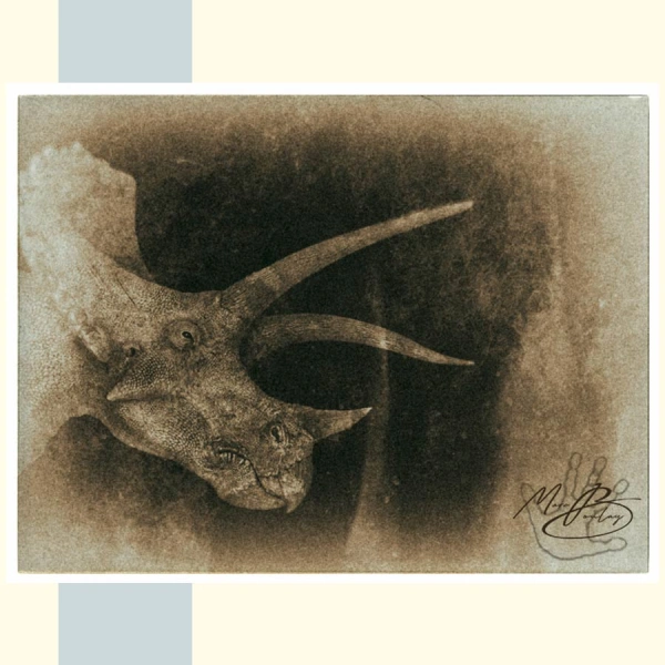 Triceratops_Marc Boulay