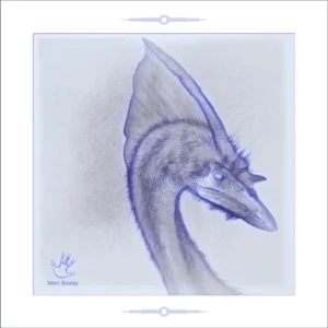 Oiseau-girafe Marc Boulay