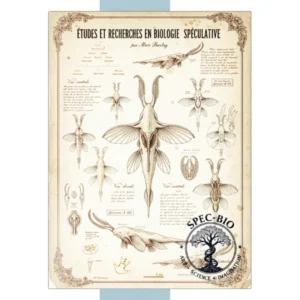 Veloradiata mirabilis_Plate-5a