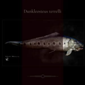 DUNKLEOSTEUS terrelli