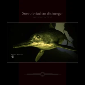 Suevoleviathan disinteger