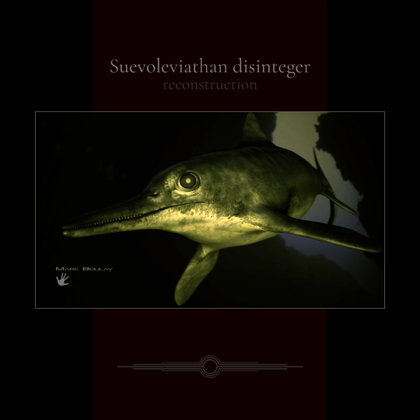 Suevoleviathan disinteger