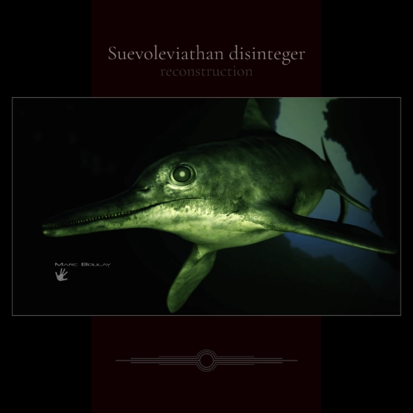 ICHTYOSAURE NIGHT VISION (Suevoleviathan-disinteger)