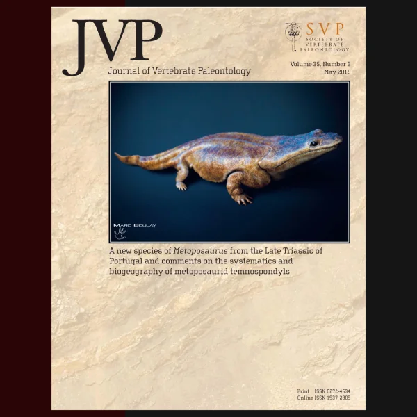 Journal of Vertebrate Paleontology - Metoposaurus by Marc Boulay