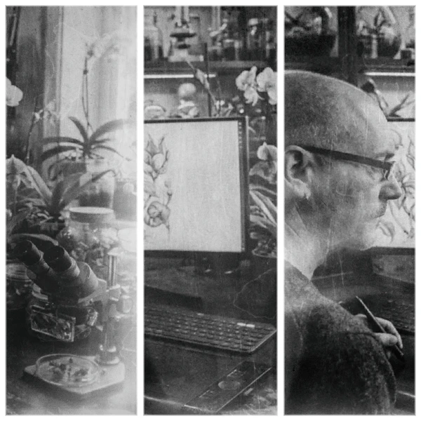 Marc Boulay travaillant dans son studio-laboratoire devant un dessin naturaliste et un microscope