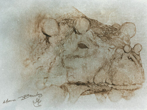 Bunostegos-01-sketch2015 (c) MarcBoulay