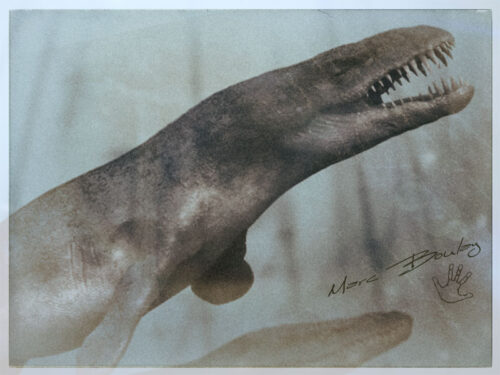 Dakosaurus(c)MarcBoulay
