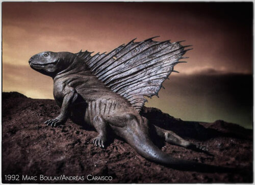 Dimetrodon (c) MarcBoulay-AndreasCaraisco