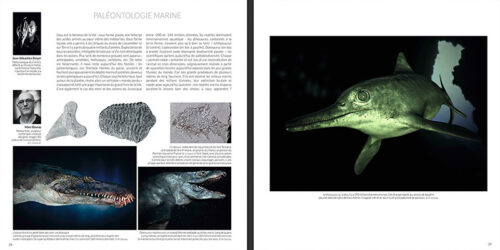 PaleontologieMarine