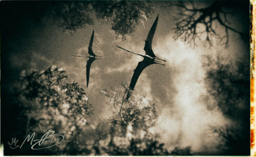 Quetzalcoatlus-sky(c)MarcBoulay