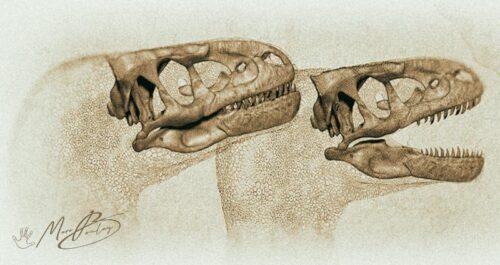RAPTOR-compoGO&GF-(c)-MarcBoulay