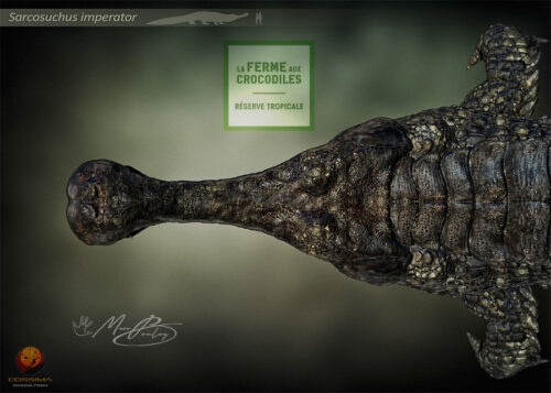 Sarcosuchus-FermeAuxCrocodiles