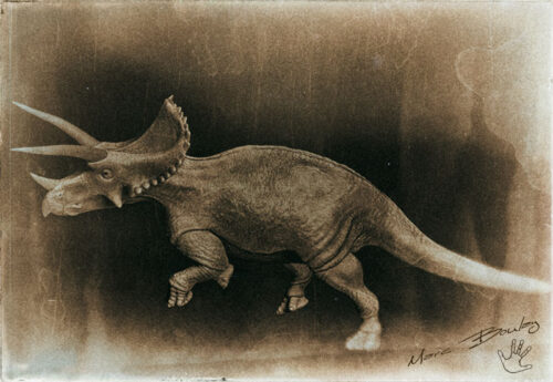 Triceratops-v02a(c)MarcBoulay
