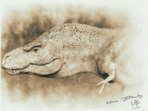 TyrannosaurusRex-v2013 (c) MarcBoulay