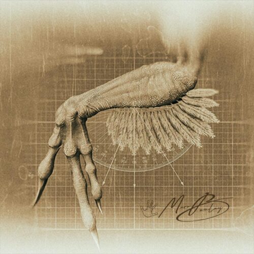 Utahraptor-Planche-03a-(c)-MarcBoulay